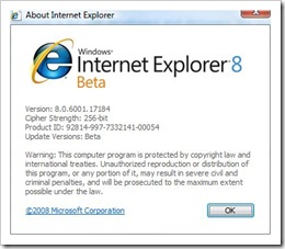 IE8-Versionshinweise