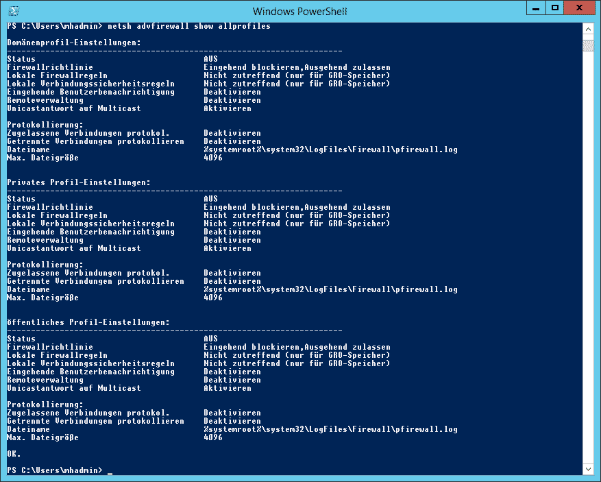 netsh advfirewall show allprofiles
