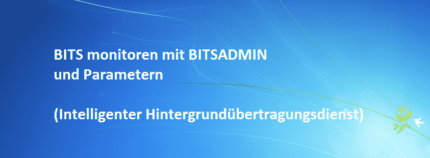 bits-monitoren-mit-bitsadmin-und-parametern-intelligenter-hintergrunduebertragungsdienst