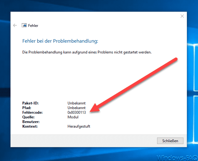 Fehlercode 0x80300113