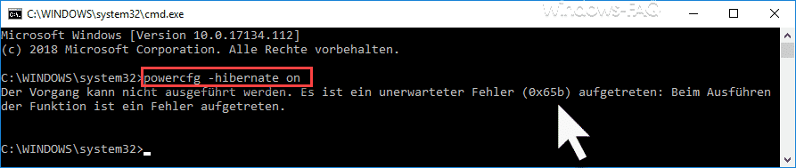 Es ist ein unerwarteter Fehler (0x65) aufgetreten