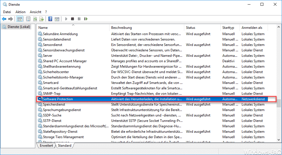 Software Protection Dienst SPPSVC unter Windows