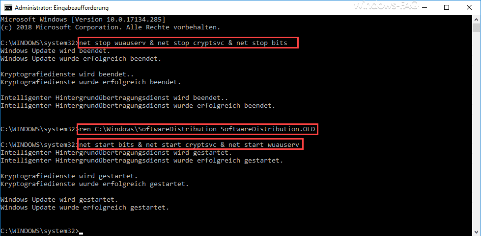 Softwaredistribution Verzeichnis umbenennen