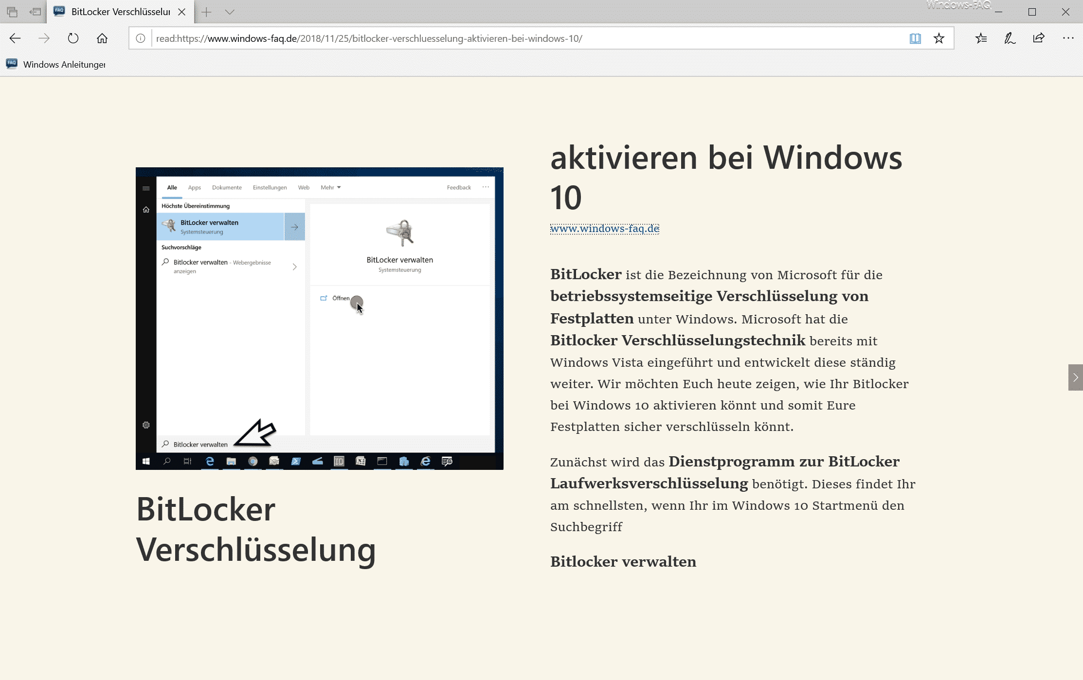 Edge Webseitendarstellung in der Leseansicht