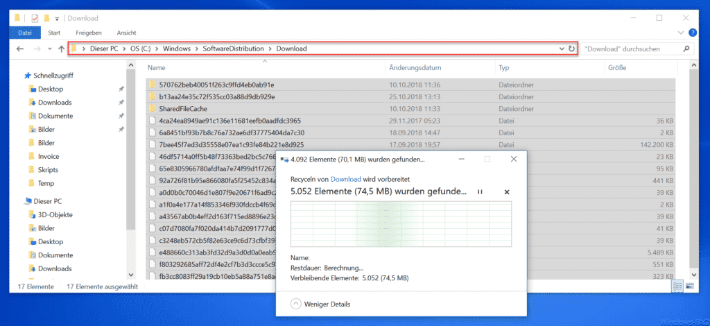 SoftwareDistribution Download Ordner löschen