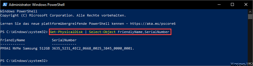 Modell und Seriennummer der eingebauten SSD oder HDD abfragen