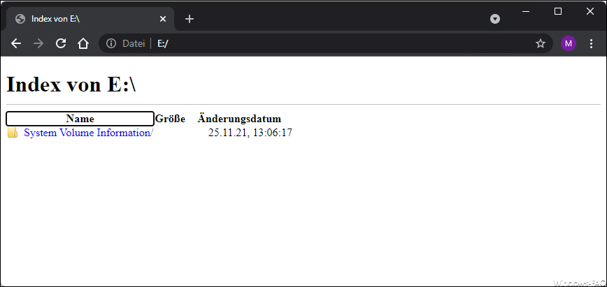 Chrome Index von Laufwerk