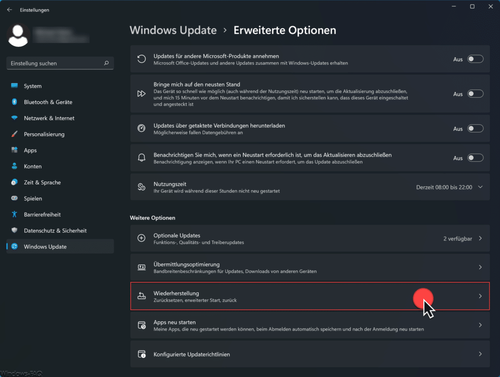 Windows 11 Wiederherstellung