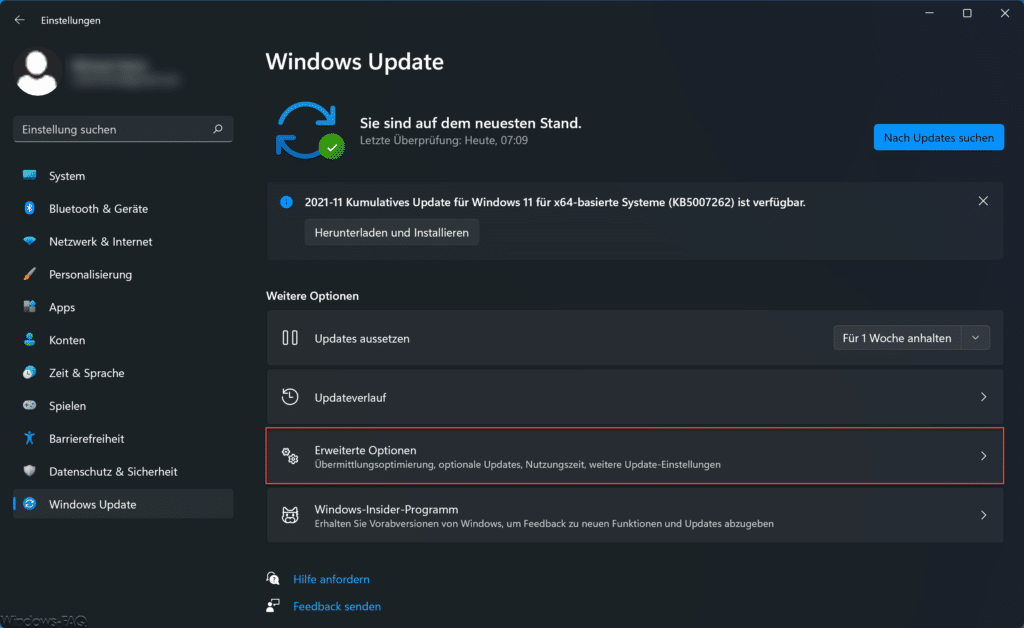 Windows 11 erweiterte Update Optionen