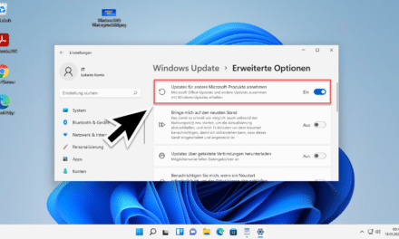 Windows 11: Updates auch für Office