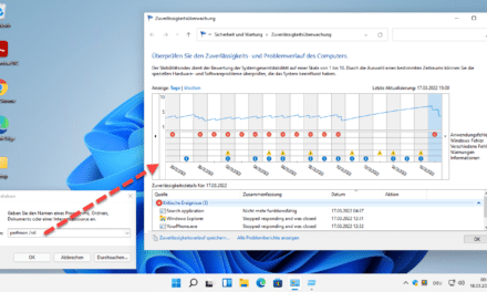Windows 11 System Fehler feststellen