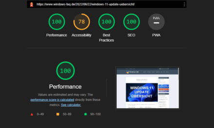 Google Pagespeed vom DIVI Theme verbessern