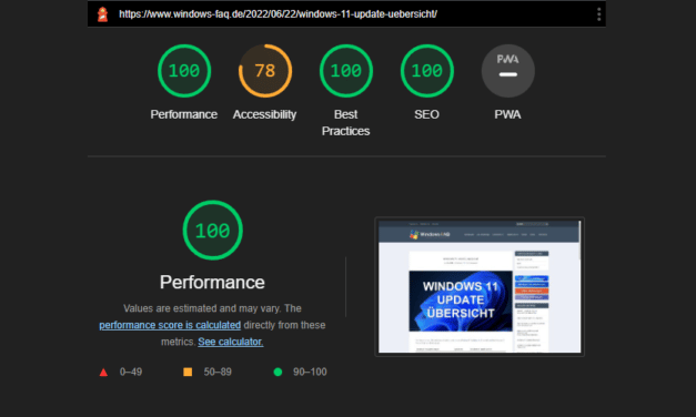 Google Pagespeed vom DIVI Theme verbessern