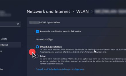 Windows 11 Netzwerkprofiltyp Öffentlich und Privat