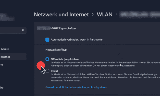 Windows 11 Netzwerkprofiltyp Öffentlich und Privat