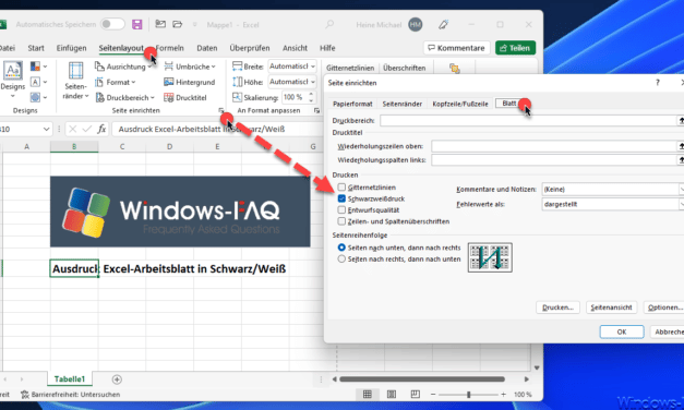 Excel Ausdruck in s/w (Schwarz-Weiß)