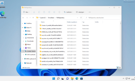 Windows 11 Treiber Speicherort
