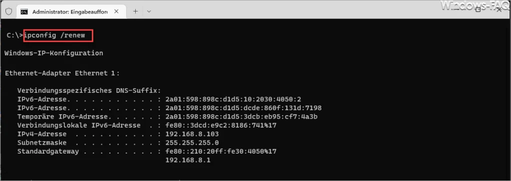ipconfig renew