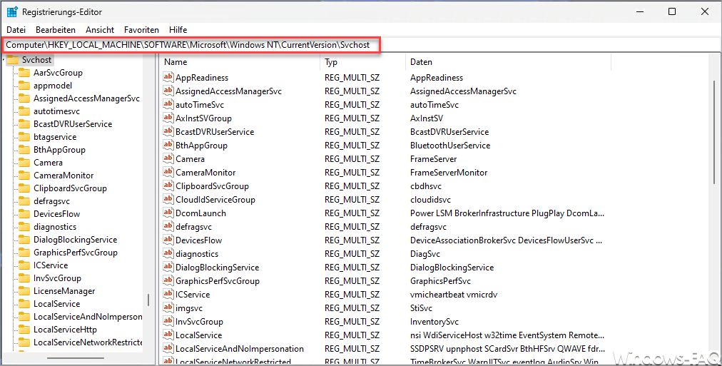 svchost Registry