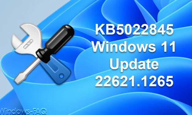 KB5022845 Windows 11 Update 22621.1265