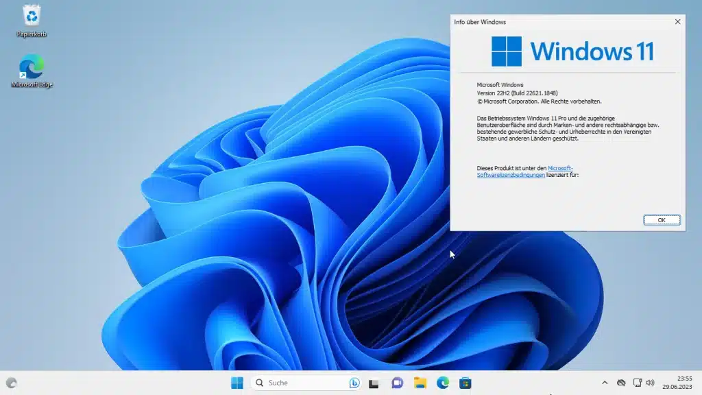 Windows 11