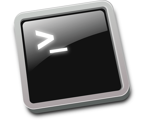 bash-148836_640