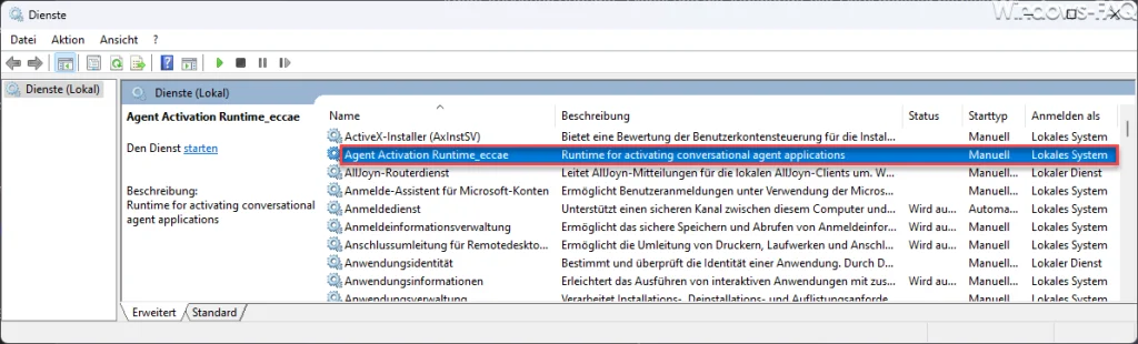 Agent Activation Runtime Dienst