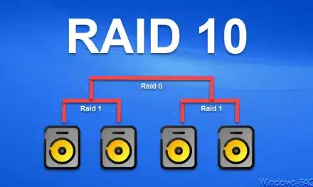 Raid 10