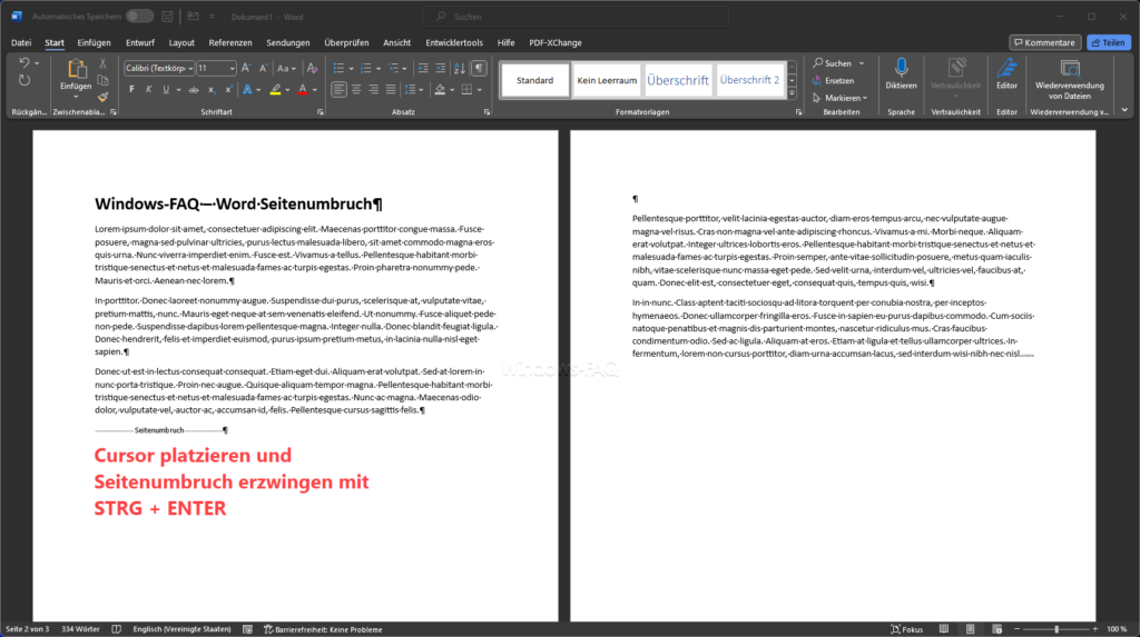 Cursor platzieren und Seitenumbruch Word erzwingen mit STRG + ENTER