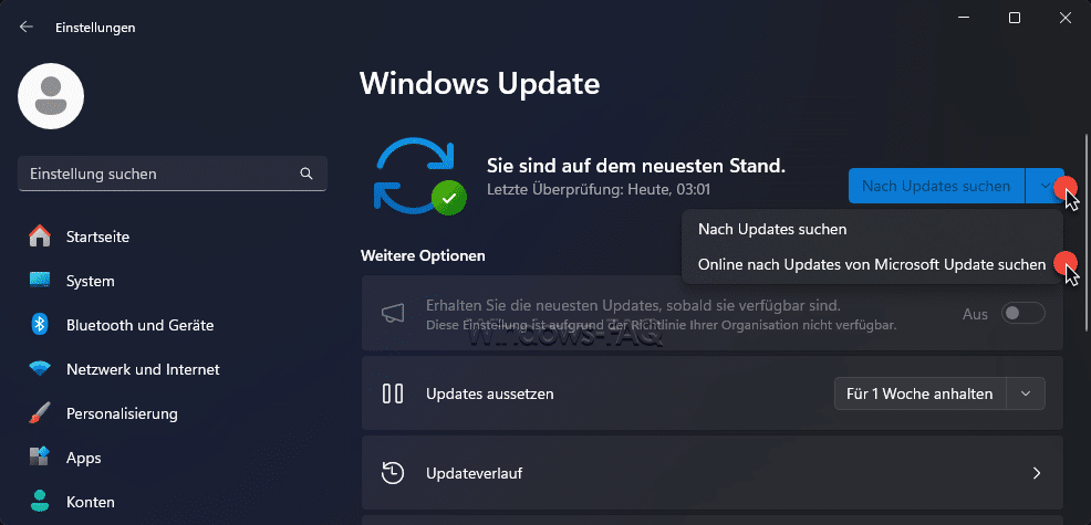 Windows Update Treiber aktualisieren