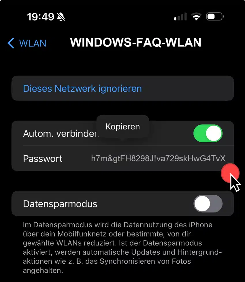 Netzwerksicherheitsschlüssel iOS