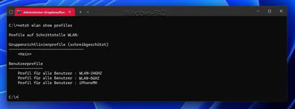 netsh wlan show profiles